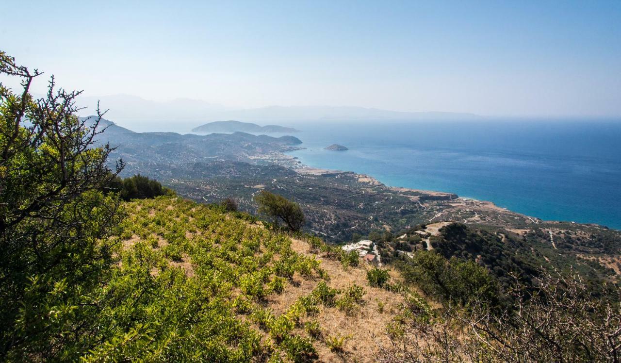 Splendid Sea View Villa Mirsini  Bagian luar foto