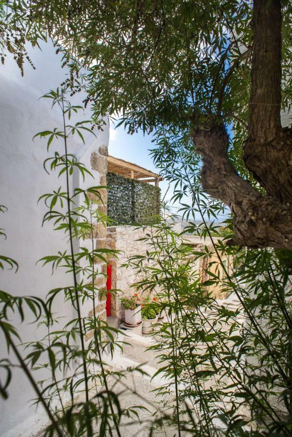 Splendid Sea View Villa Mirsini  Bagian luar foto